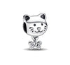 Gatito humita